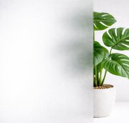 Raamfolie standaard mat (90cm)