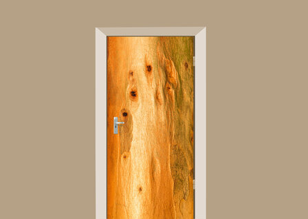 deursticker hout boom