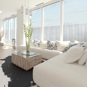 DC-Fix raamfolie Skin (67,5x200cm)