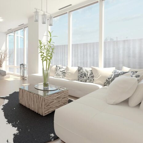 DC-Fix raamfolie Skin (67,5x200cm)