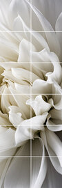 Foto tegelsticker 15x15 'Dahlia' 90x30 cm hxb