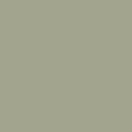 Wrapfolie pastel olijfgroen (122cm breed)