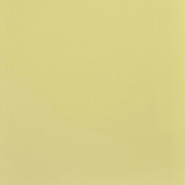 Plakfolie geel nelson 45x200cm