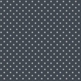 Plakfolie sterren grijs/zilver 45x200cm