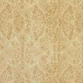 Plakfolie tess hout 45x200cm