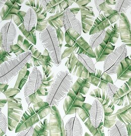 Plakfolie Liva Palm (45cm) 