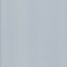 Wrapfolie geborsteld staal zilver mat (122cm breed)