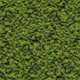 Wrapfolie groene moswand mat (122cm breed)