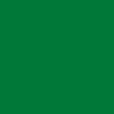 Aslan plakfolie glans groen RAL 6029 (122cm)