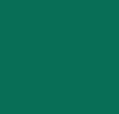 Plakfolie groen mat RAL 6029 (45cm)