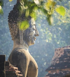 Tegelsticker boeddha natuur 15x15cm