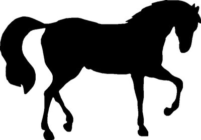 Raamsticker paard kleuren - Plakfolie webshop